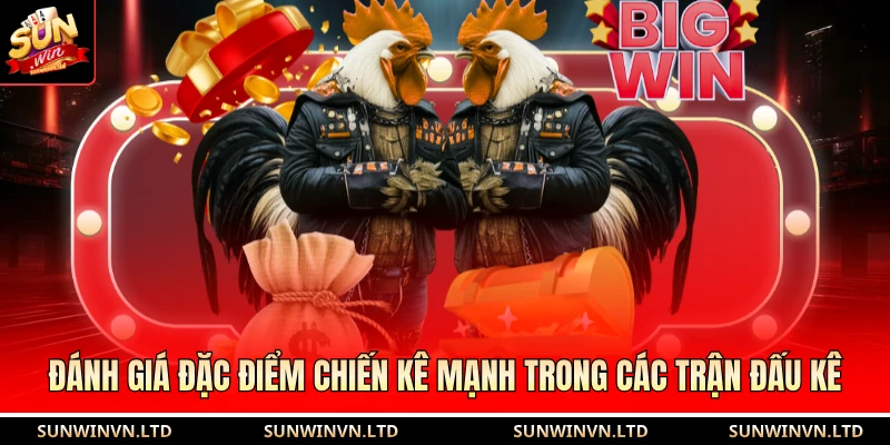 Đánh giá đặc điểm chiến kê mạnh trong các trận đấu kê